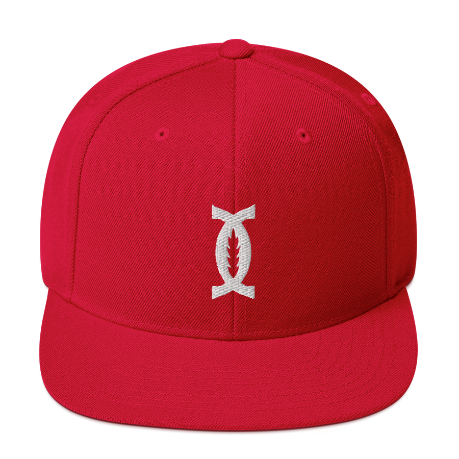 Snapback Hat || "Monogram"